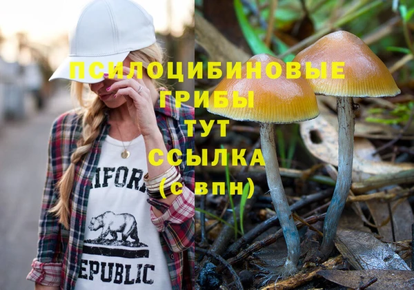 Альфа ПВП Армянск